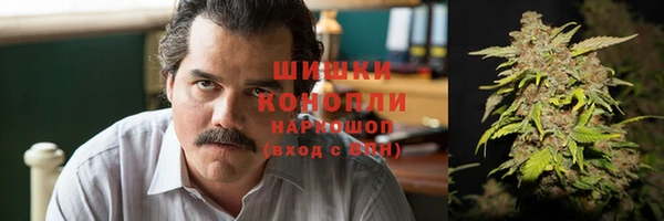 прущая мука Новодвинск