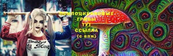 таблы Новокубанск