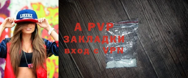 apvp Аша