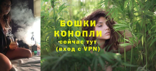МДМА Новозыбков