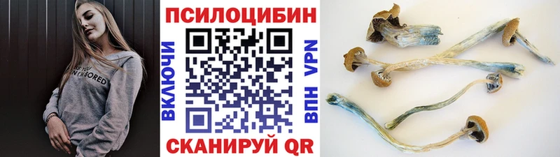 Галлюциногенные грибы MAGIC MUSHROOMS  мега как зайти  Отрадный 