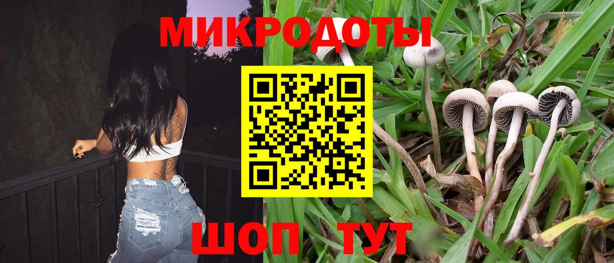 Галлюциногенные грибы Cubensis  Псилоцибиновые грибы Cubensis  Отрадный  Вход с VPN 