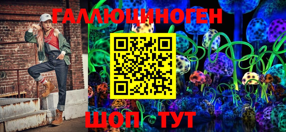 Псилоцибиновые грибы Psilocybe Отрадный