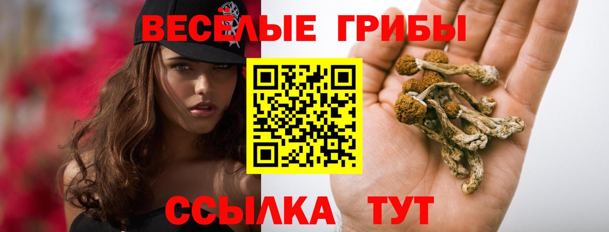 Отрадный  Псилоцибиновые грибы MAGIC MUSHROOMS  Галлюциногенные грибы Cubensis  Вход с VPN 